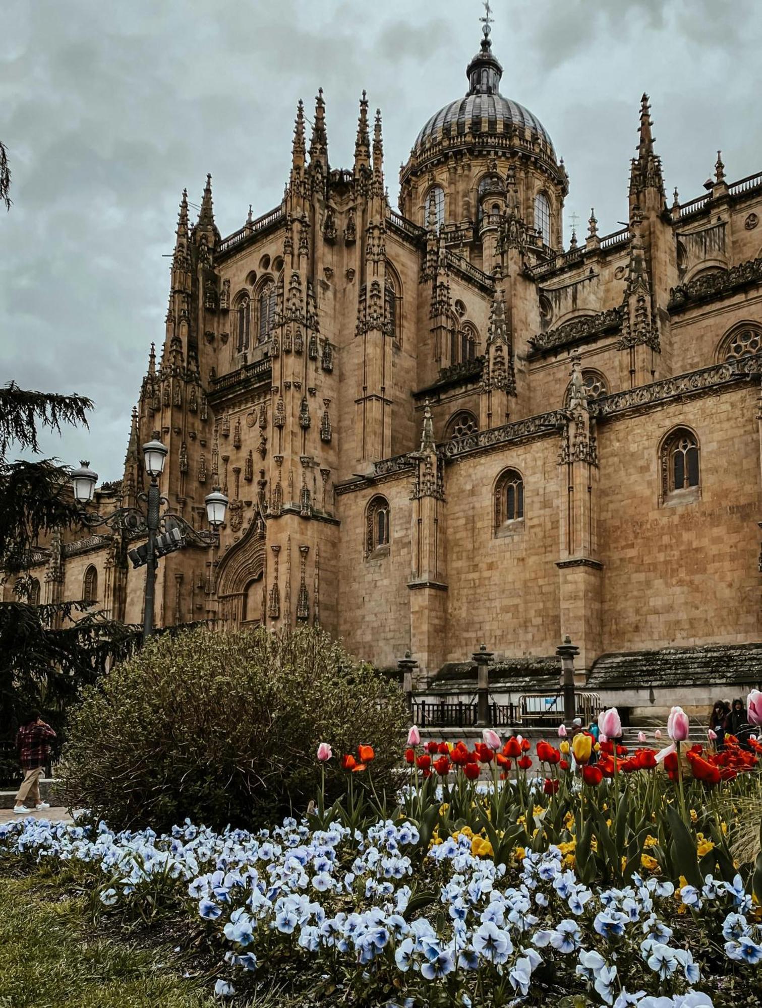 Centro, Hospital Y Campus Universitario A 5 Minutos - Camas De Primera - Lavadora - Smarttv - Wifi 1 Gb - Teletrabajo Salamanka Zewnętrze zdjęcie